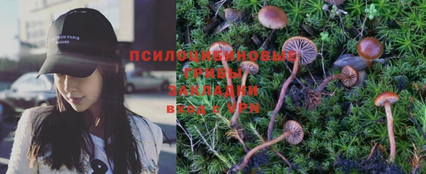 дмт Алзамай
