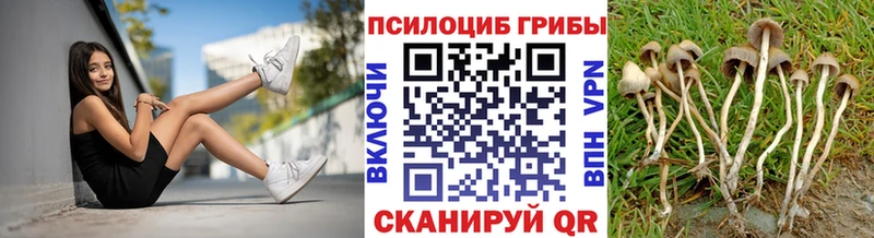 hydra маркетплейс  продажа наркотиков  Невьянск  Галлюциногенные грибы Cubensis 